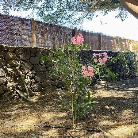 Cabana En La Naturaleza مكان تخييم