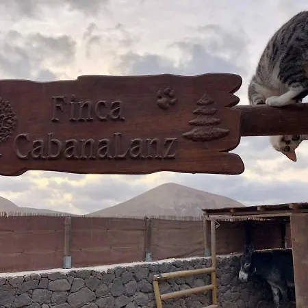 Cabana En La Naturaleza