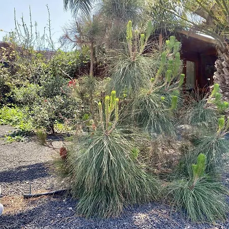 Cabana En La Naturaleza * San Bartolomé